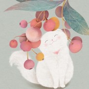 中药功效速记卡包封面