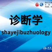 实验诊断学期末复习卡包封面