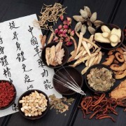 中药学卡包封面