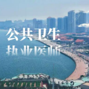 【真题＋模拟】2021年公共卫生执业医师资格考试题库卡包封面