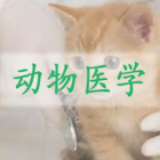  动物医学兽医法规考试题库卡包封面