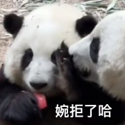 中药主治卡包封面