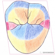 南昌大学（正畸 题目分类）卡包封面