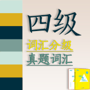 英语四级真题词汇【难度分级】卡包封面