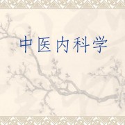 24中医考研中内歌诀卡包封面