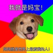 华西口腔考研口腔解剖生理学真题卡包封面