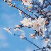 中华文化词条总结卡包封面