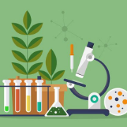三百六十个生物判断题卡包封面