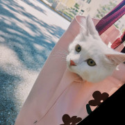 西方美学史卡包封面