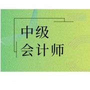 中级会计师《财务管理》（13-20年）真题＋章节题库卡包封面