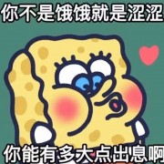 基础生态学真题卡包封面