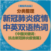 【分类】新冠肺炎疫情中英双语热词卡包封面