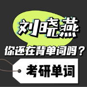 刘晓燕《你还在背单词吗？》卡包封面