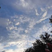 教育心理学卡包封面