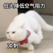 古诗词补充整理卡包封面