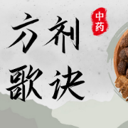 中药方剂速记歌诀卡包封面