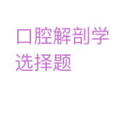 口腔解剖学选择题卡包封面