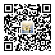【要略-外史】中外文化大宝库（汉硕优友）卡包封面