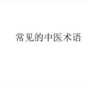 中医学术语（汉英）卡包封面