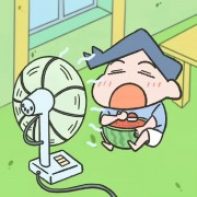 313论述题中国史历史学考研卡包封面