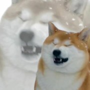 法理学宪法主观题卡包封面