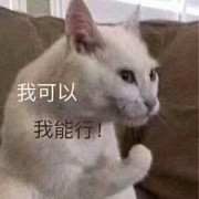 分析化学名词解释卡包封面
