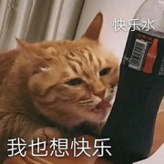 359日语热词卡包封面