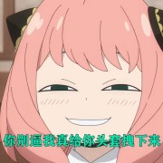 笔译卡包封面