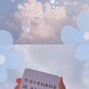 公务员考试成语卡包封面