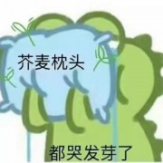 海洋科学导论练习题卡包封面