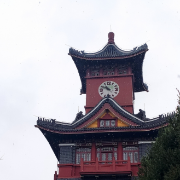 牙体牙髓病学精编版卡包封面