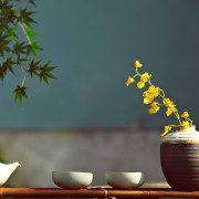 语文集训卡包封面
