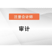 21CPA注会《审计》（15-20年）真题＋章节题库卡包封面