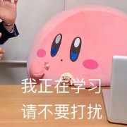 52MTI百科卡包封面