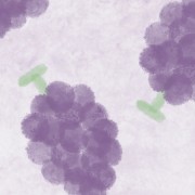 中医综合 针灸学 （带图片）卡包封面