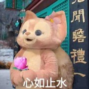 引论常错题卡包封面