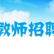 【教招考试】《教育理论基础》重点题库卡包封面