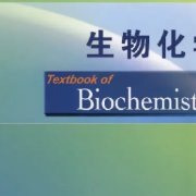 生物化学英语单词卡包封面
