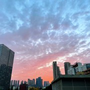 中内歌诀卡包封面