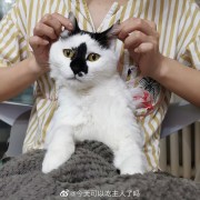 全科医学卡包封面