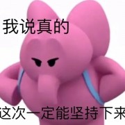 2022MTI热词连载（从7开始）卡包封面