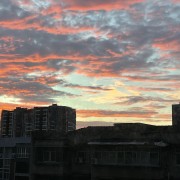 中药二轮知识点卡包封面