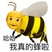 税法卡包封面