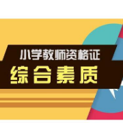 教资《（小学）综合素质》重点知识整理卡包封面