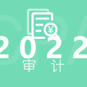 cpa审计轻一客观题卡包封面