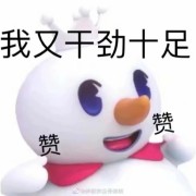 东华大学619设计概论卡包封面