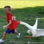 熟词僻意卡包封面