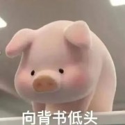 毛中特卡包封面