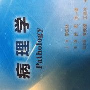 英语名解卡包封面