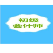 2021年初会《初级会计实务》判断题合集卡包封面